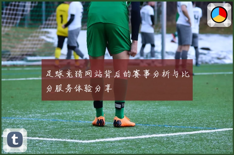 足球竞猜网站背后的赛事分析与比分服务体验分享