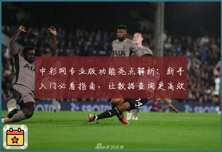 中彩网专业版功能亮点解析：新手入门必看指南，让数据查询更高效便捷