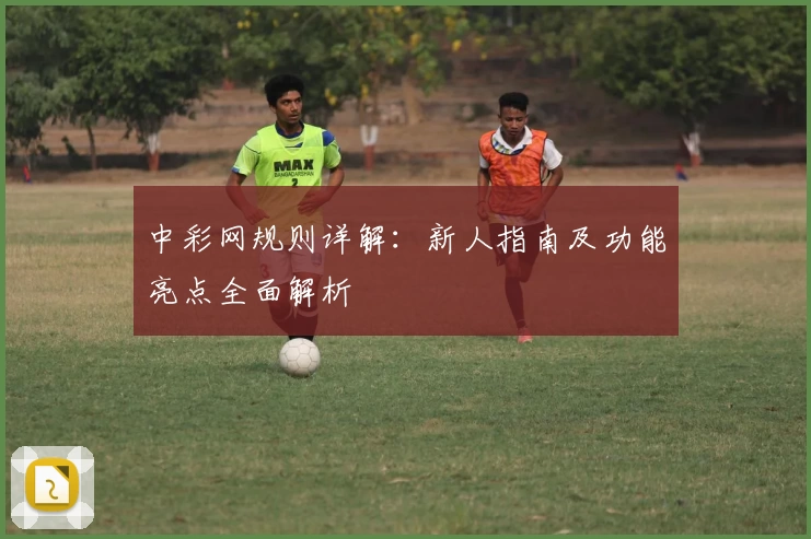 中彩网规则详解：新人指南及功能亮点全面解析