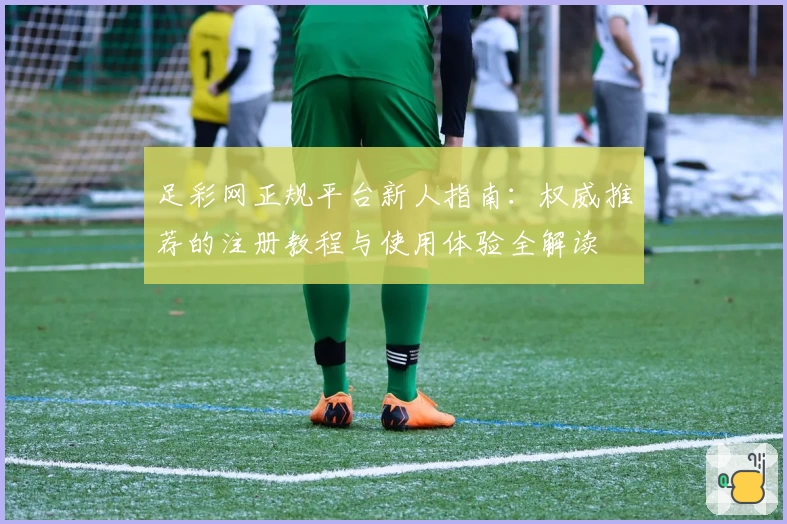 足彩网正规平台新人指南：权威推荐的注册教程与使用体验全解读