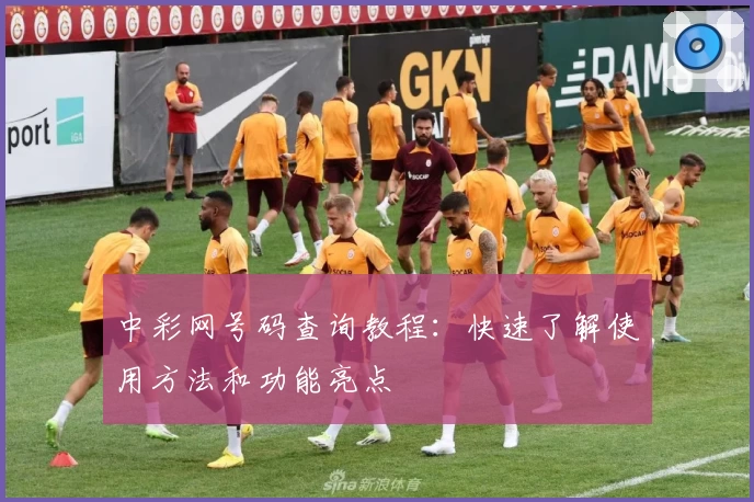 中彩网号码查询教程:快速了解使用方法和功能亮点