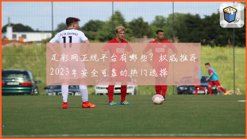 足彩网正规平台有哪些？权威推荐2023年安全可靠的热门选择