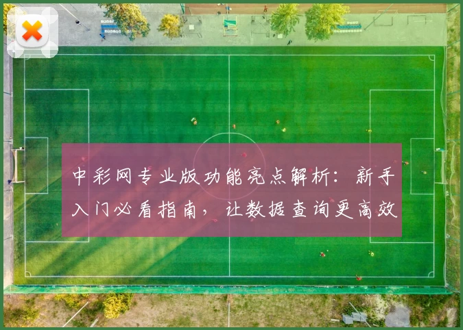 中彩网专业版功能亮点解析：新手入门必看指南，让数据查询更高效便捷